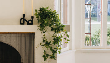 How to Decorate with Artificial Hanging Plants